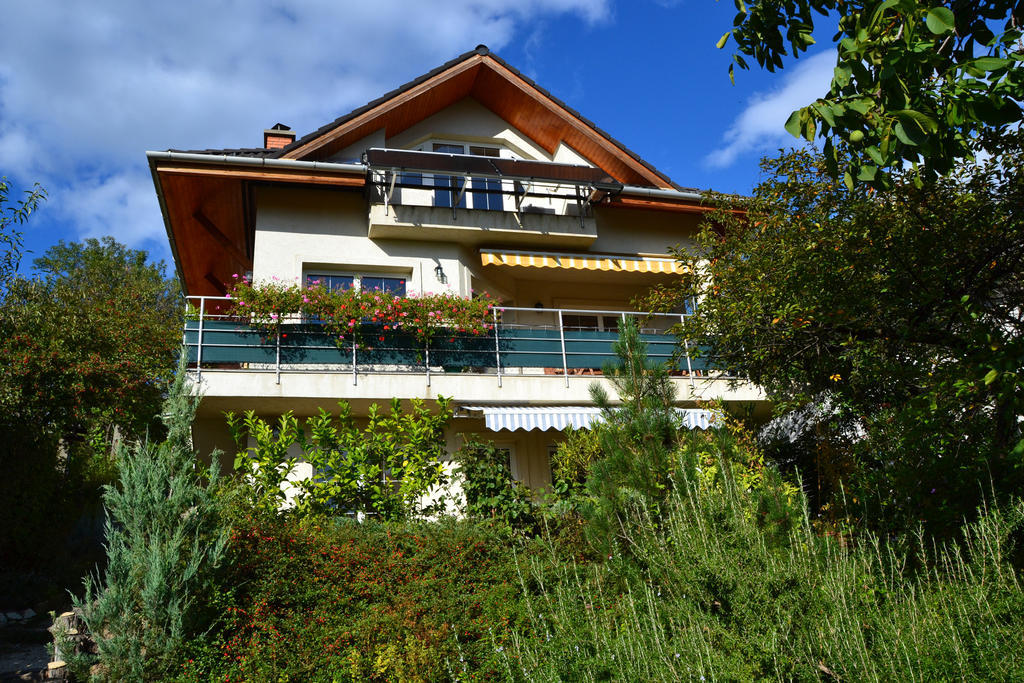 Anna Apartment Budaors Exterior photo